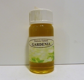 ESENCIA GARDENIA