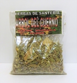ÁRBOL DEL CUERNO HIERBA
