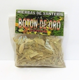 BOTÓN DE ORO HIERBA