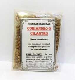 CORIANDRO CILANTRO HIERBA