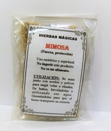MIMOSA HIERBA