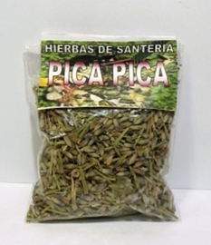 PICA PICA HIERBA