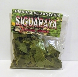 SIGUARAYA HIERBA