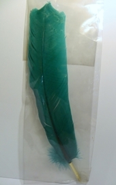 PLUMA